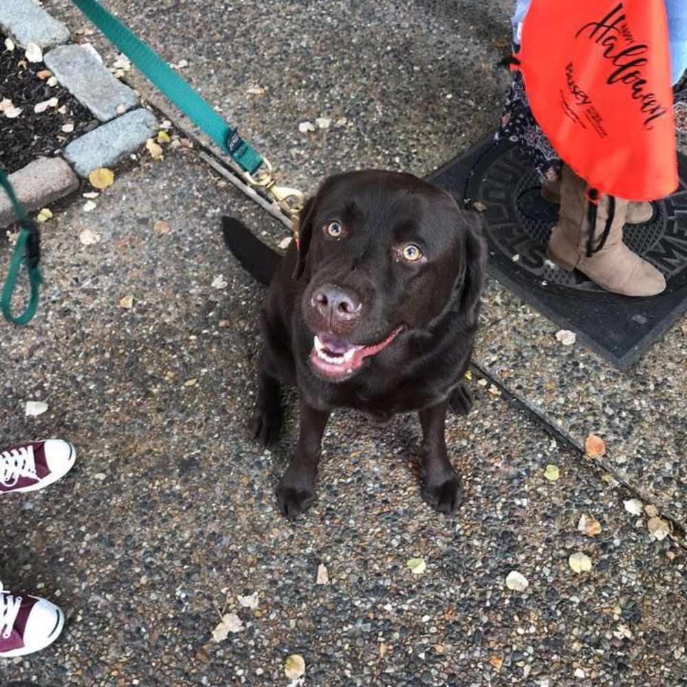 Meet your Posher, Joseph